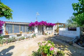 La caseta dels iaios